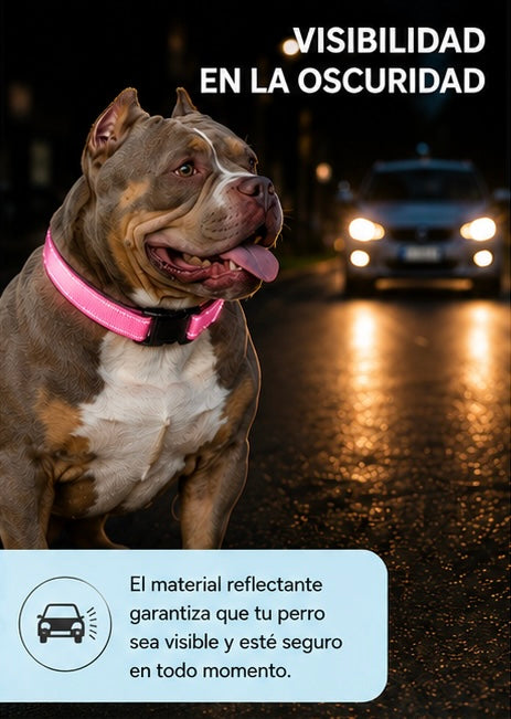 COLLAR PARA PERROS REFLECTANTE